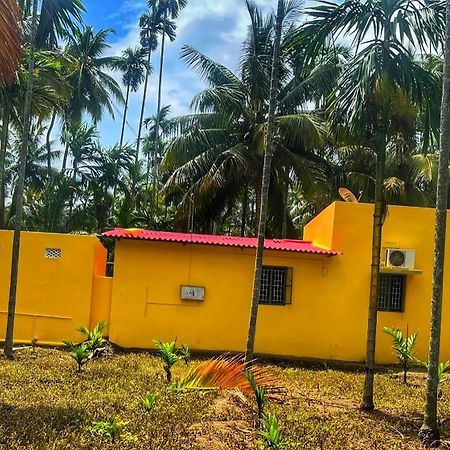 Shivalaya Farmstay Located Amdist Coconut Farm With River Access Near Isha,Adiyogi,Siruvani Alāndurai Eksteriør billede