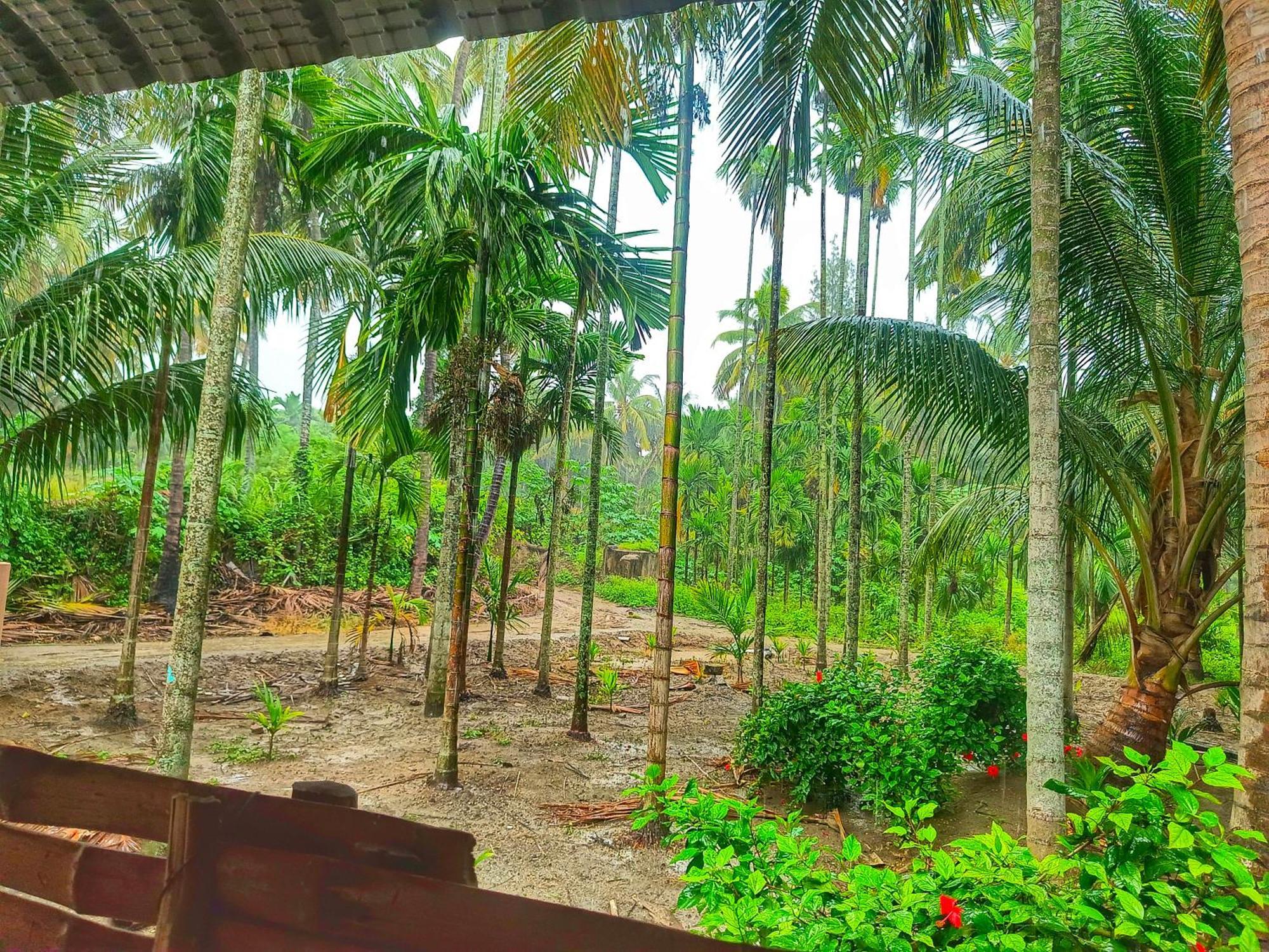 Shivalaya Farmstay Located Amdist Coconut Farm With River Access Near Isha,Adiyogi,Siruvani Alāndurai Eksteriør billede