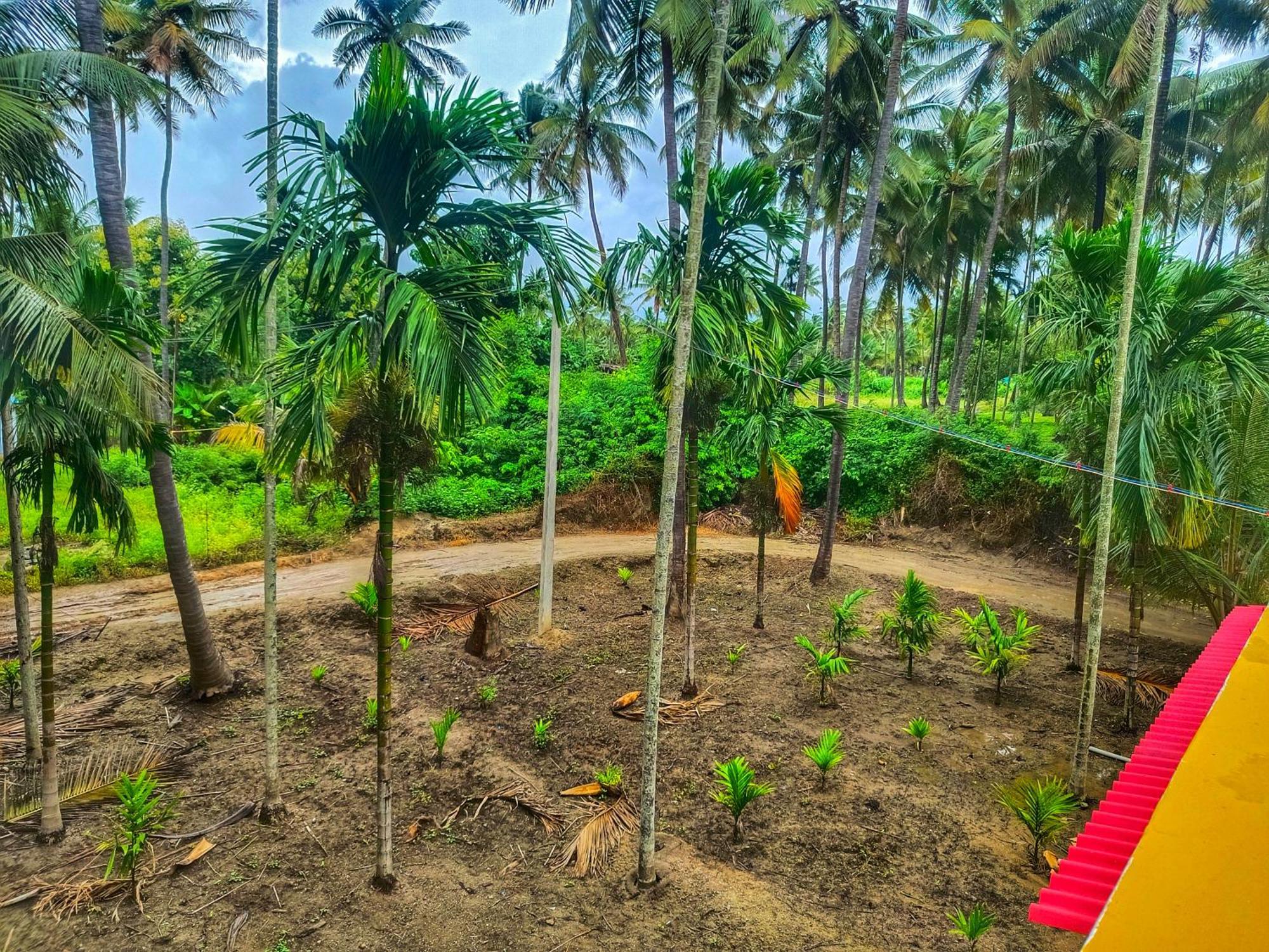 Shivalaya Farmstay Located Amdist Coconut Farm With River Access Near Isha,Adiyogi,Siruvani Alāndurai Eksteriør billede