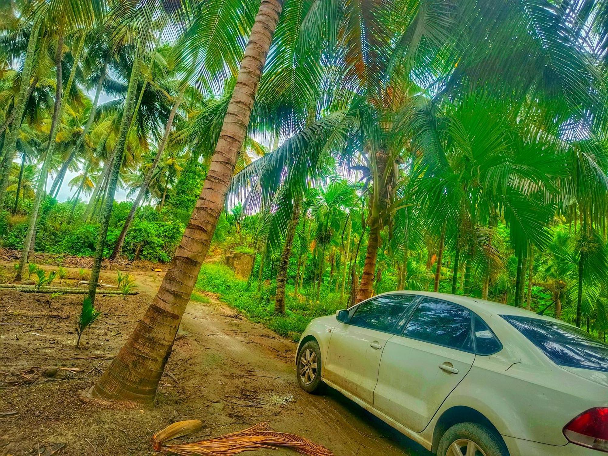 Shivalaya Farmstay Located Amdist Coconut Farm With River Access Near Isha,Adiyogi,Siruvani Alāndurai Eksteriør billede